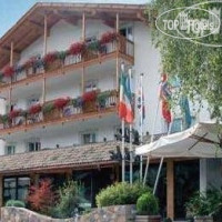 Los Andes hotel Castello di Fiemme 3*