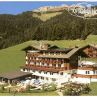 Fontana Hotel Vigo di Fassa 3*