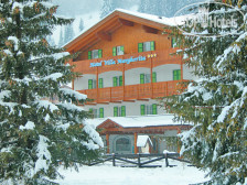 X Alp Hotel 3*