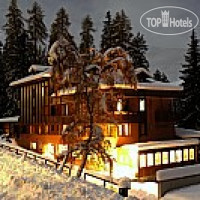 Caminetto hotel Folgarida 4*