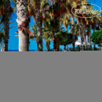Louis Phaethon Beach