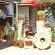 Pine Wood Guest House 