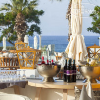 King Jason Protaras Designed for Adults