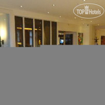 Golden Tulip Lion d Or 