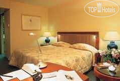 Новые добавленные фото туристов Hilton Amsterdam Airport Schiphol hotel 5*