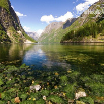 Gudvangen Fjordtell & Apartments 