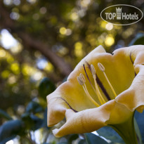 Hotel Apartments Aldeia da Fonte 