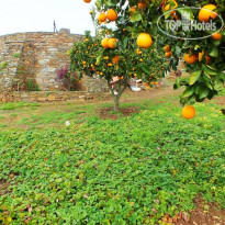 Horta da Moura Hotel Rural Сад