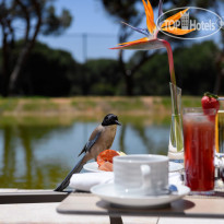 Pestana Vila Sol Golf & Resort 