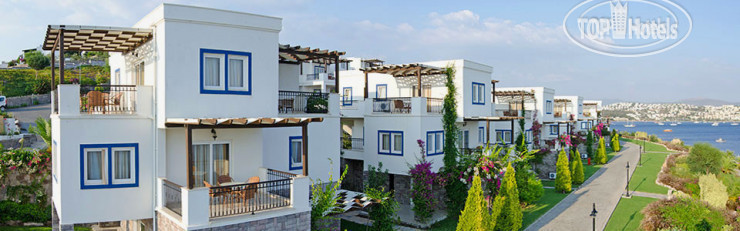 Фото Aktur Residence