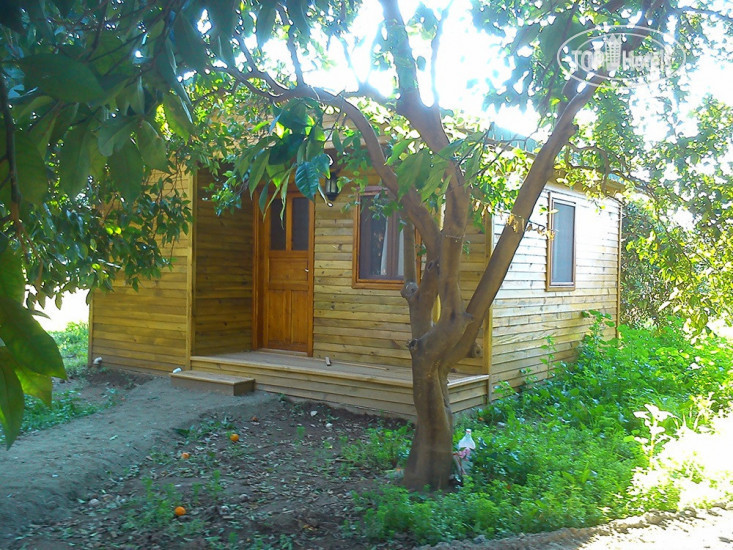 Фото Yesil Bahce Bungalow