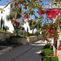 Blue Jasmine Villas