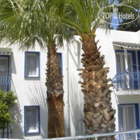 Dream Apartment