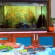 Sevin Pension 
