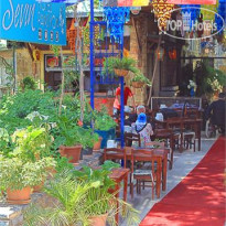 Sevin Pension 