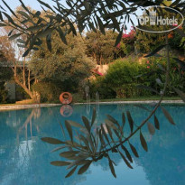 Antik Zeytin Hotel & Art 