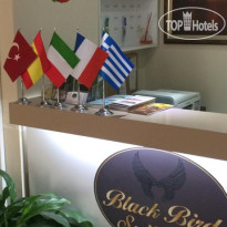 Black Bird Suite Hotel
