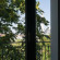 Torun Hotel 