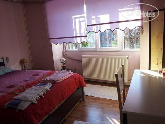 The Little House Hostel