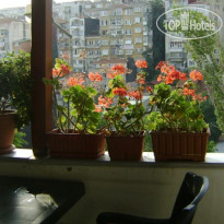 The Little House Hostel