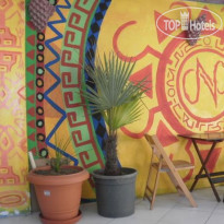 Neverland Hostel