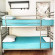 Taz-Mania Hostel 