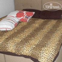 Best Island Hostel