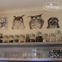 Fendo Hostel