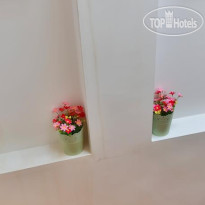 Inn Design Suites Hotel 