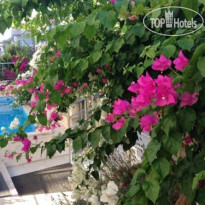 Zeytin Apart Hotel 