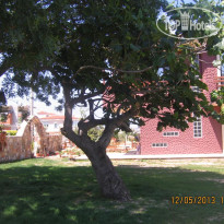 Cesmekes Houses