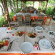 Nejla Motel Selimiye 