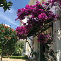 Villa Tokur Hotel