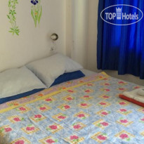 Missing-Link Hotel 