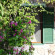 Olive Farm Of Datca Guesthouse 