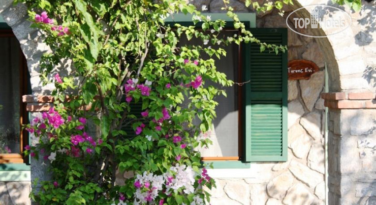 Фотографии отеля  Olive Farm Of Datca Guesthouse 