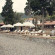 Vira Demir Hotel 
