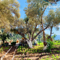 Loryma Resort Hotel 