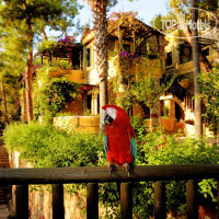Symbola Oludeniz Beach Hotel 3*