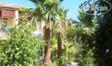 Native Hotel