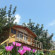 Olive Garden Kabak Hotel 