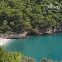 Kabak Avalon Bungalows 