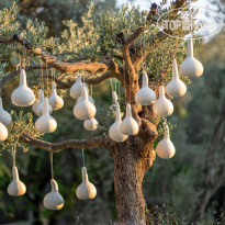 Pure Life Gocek 