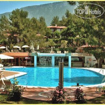 Montana Pine Resort 