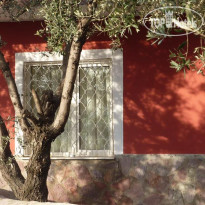 Medusa House