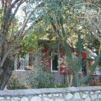 Medusa House