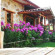 Mogla Tashan Hotel 