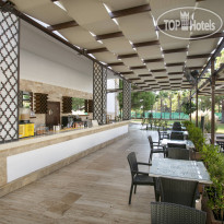 Juju Premier Palace POOL BAR