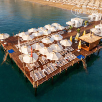 Juju Premier Palace ПИРС