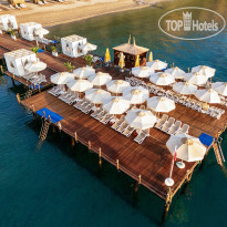 Juju Premier Palace ПИРС